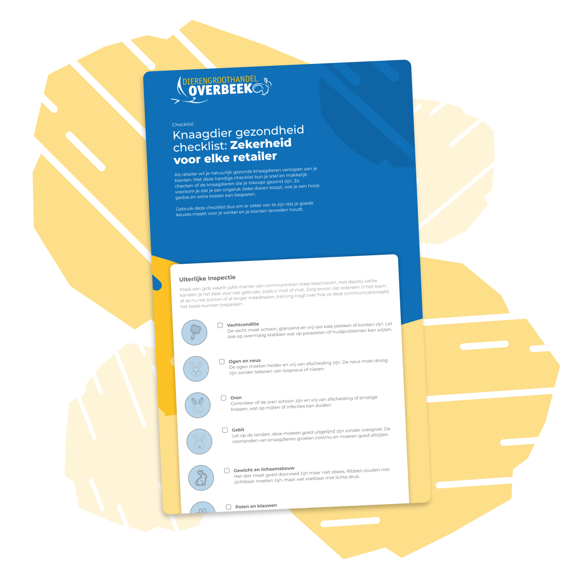 Assets landingspage 2-1 Assets landingspage 2-1