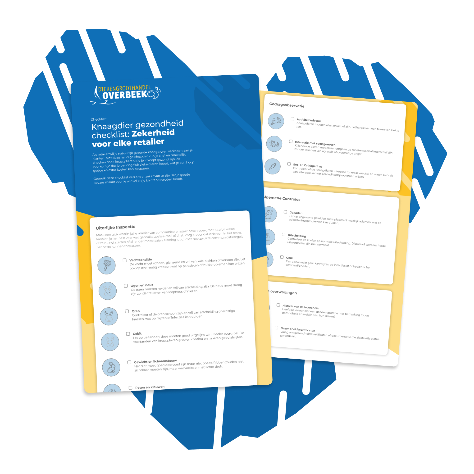 Assets landingspage 1-1 Assets landingspage 1-1